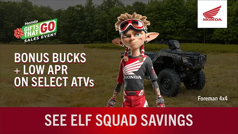 Read more about the article MORE GIFTS, MORE GO