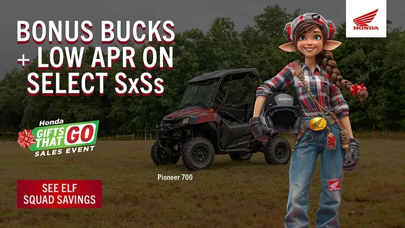 Read more about the article MORE GIFTS, MORE GO